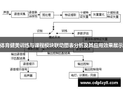 体育健美训练与课程模块联动图表分析及其应用效果展示