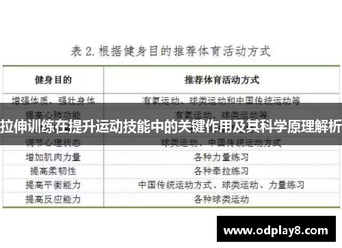 拉伸训练在提升运动技能中的关键作用及其科学原理解析